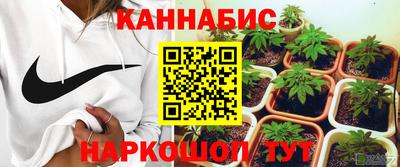 шишки Кинель