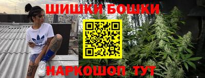 шишки Кинель