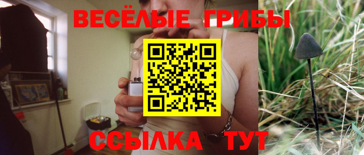 Верхний Уфалей  Псилоцибиновые грибы Psilocybine cubensis  Псилоцибиновые грибы MAGIC MUSHROOMS  Вход с VPN 
